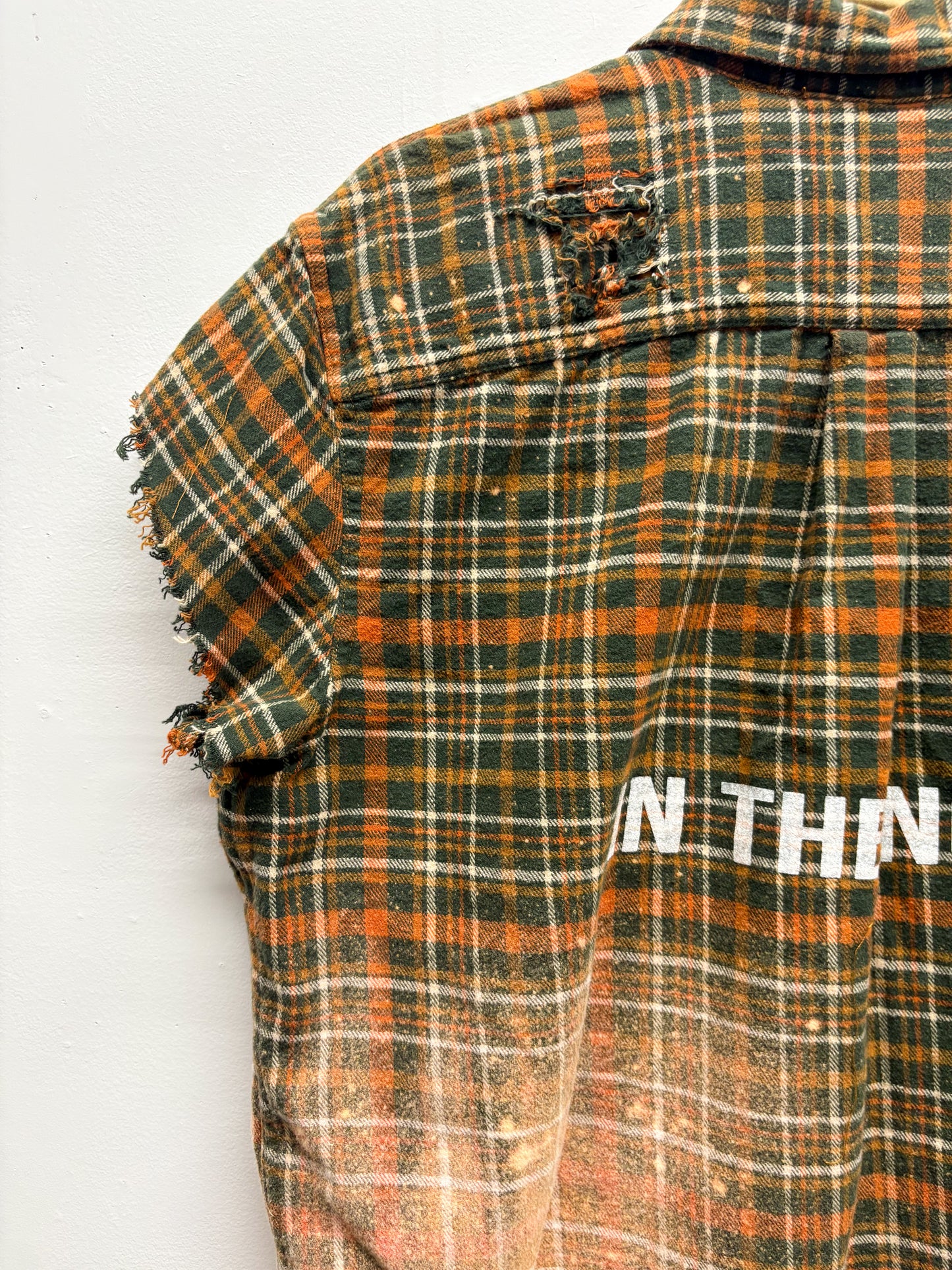 Sample 006
